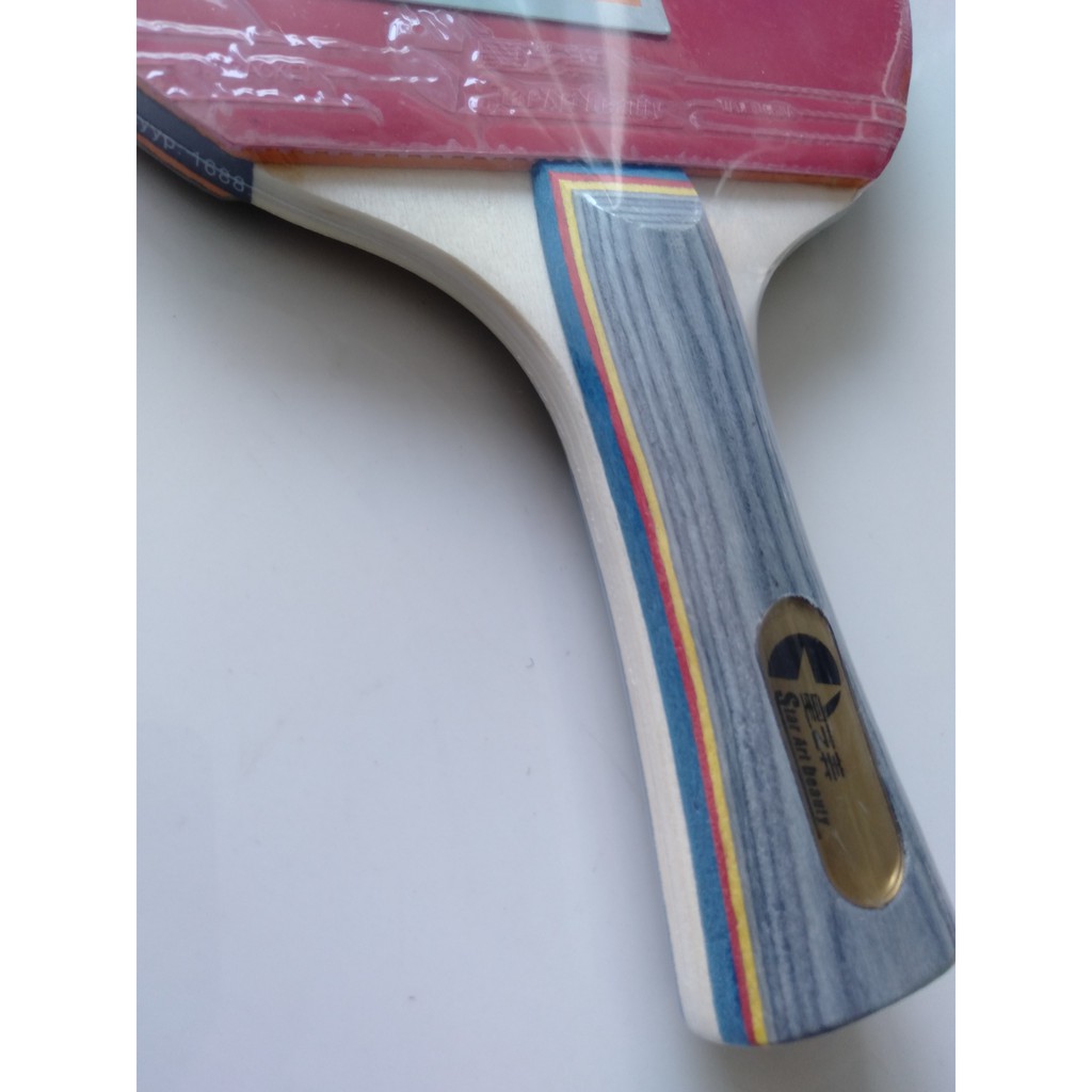 VỢT BÓNG BÀN ĐƠN CAO CẤP 0668