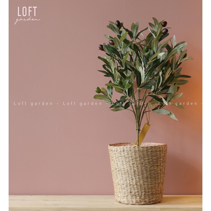 Giỏ Lục Bình Tròn Decor và Đựng Đồ Tiện Dụng, Có Tay Cầm & Khung Sắt