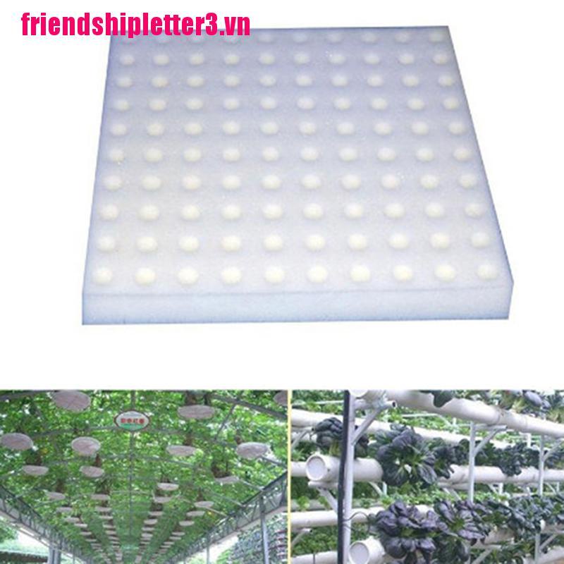 Bộ 3 / 100 Chậu Trồng Cây Thủy Canh Không Cần Khoan