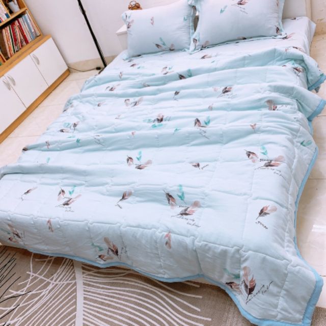 Bộ chăn ga gối cotton đũi