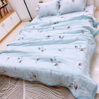 Bộ chăn ga gối cotton đũi