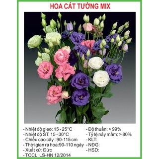 Hạt Giống Hoa cát tường Mix 5 Hạt/ Gói