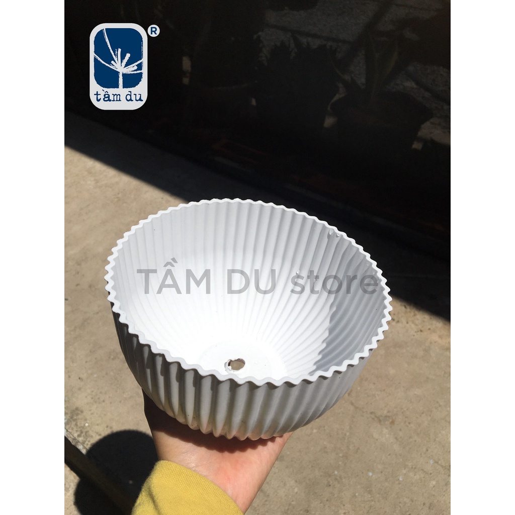 Chậu tròn lùn gân sọc nhựa trắng 160x100mm