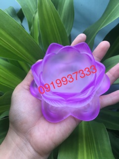 Chân đèn hoa sen
