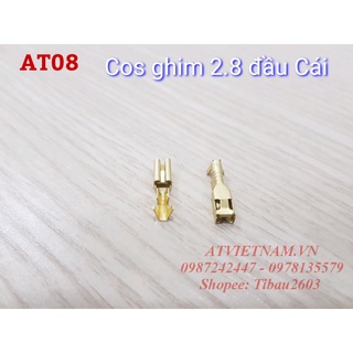 Cos Cái Ghim 2.8 - AT08 ( 1 bịch/50 cái)