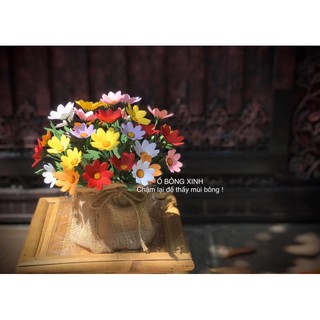 Khuôn cắt làm hoa sao nhái