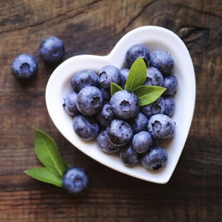 Cây Việt Quất tứ quý (Blueberry) trưởng thành, ra trái 4 mùa quanh năm - giống siêu trái, cao 40-60cm