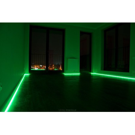 Đèn LED dây 5050 10m