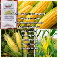 (Gói 15 hạt)Hạt giống ngô ngọt ( bắp mỹ ) dễ trồng kháng bệnh tốt năng suất cao
