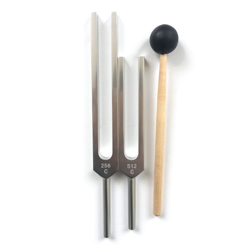 Set dụng cụ âm thoa có nĩa điều chỉnh và búa tần số C256 Hz và C512 Hz