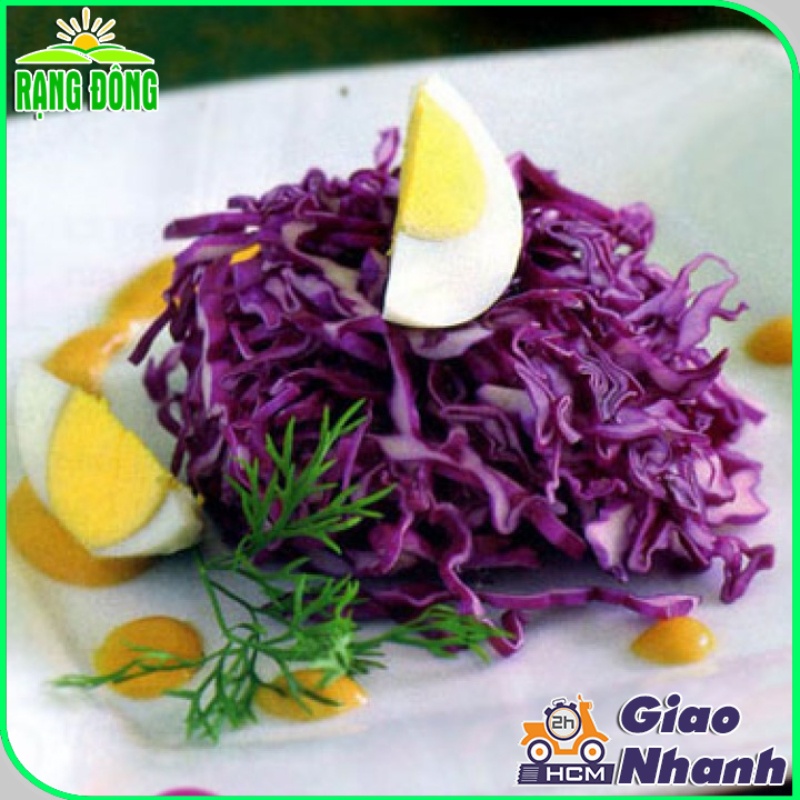 Hạt giống Bắp Cải Tím lai F1 sinh trưởng tốt, trồng quanh năm - Hạt giống Rạng Đông