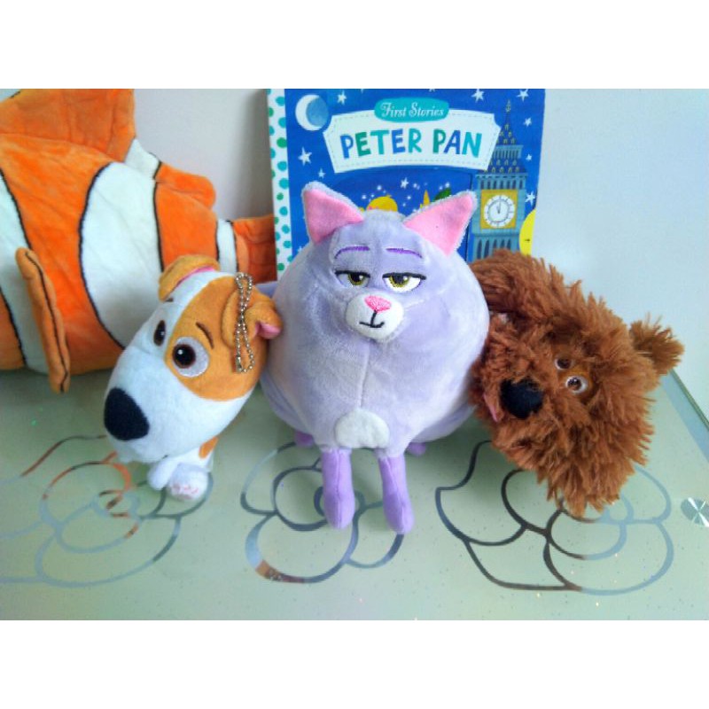 Set gấu Đẳng cấp thú cưng