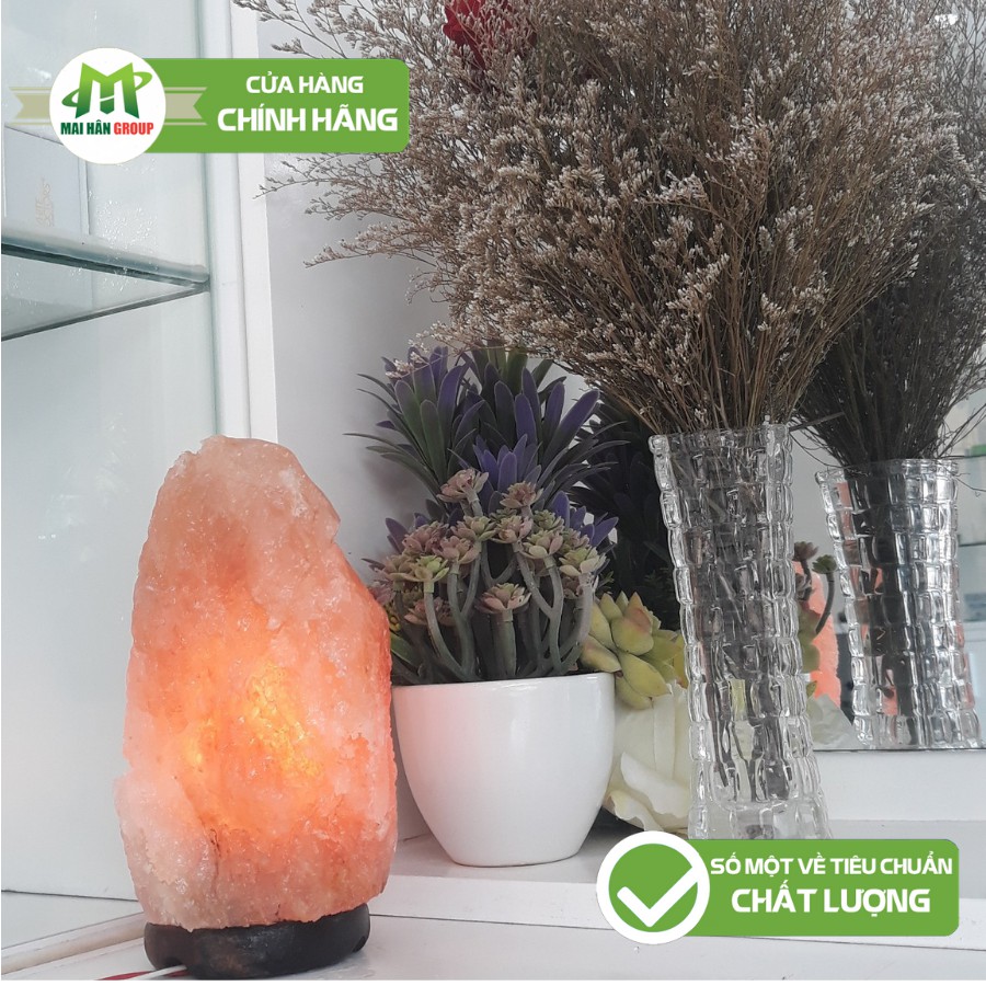 Đèn Đá Muối Himalaya Nhập Khẩu Pakistan Size S