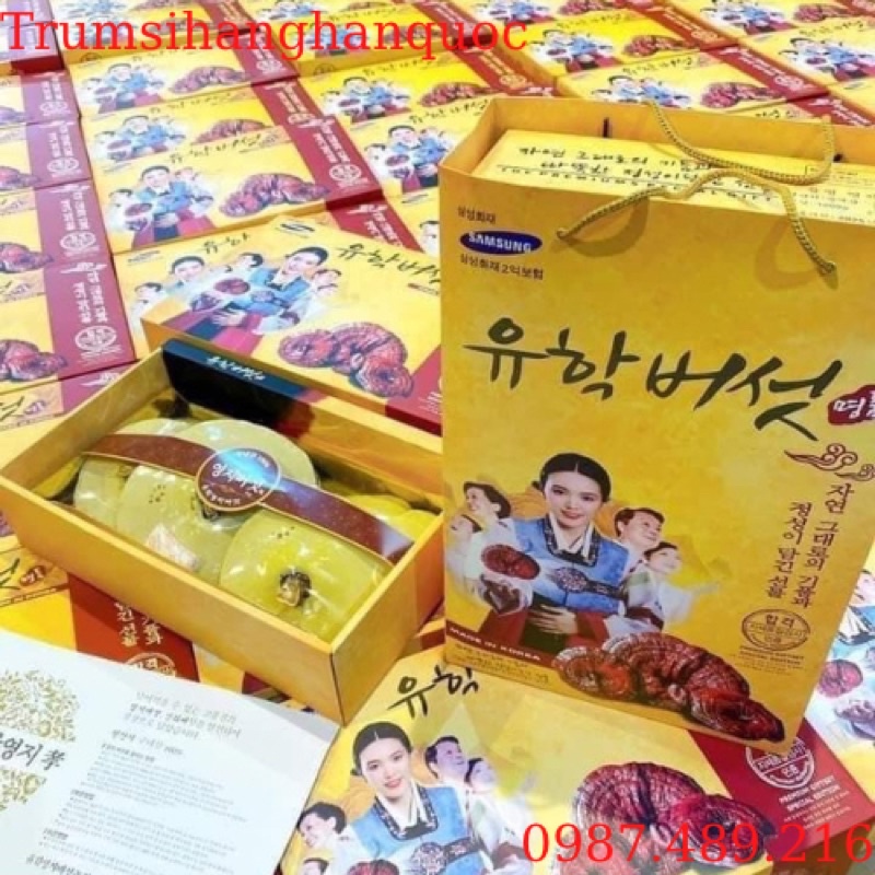 1kg nấm linh chi vàng chanh hộp cô gái Hàn Quốc[ nấm linh chi vàng chanh chuẩn hàn]