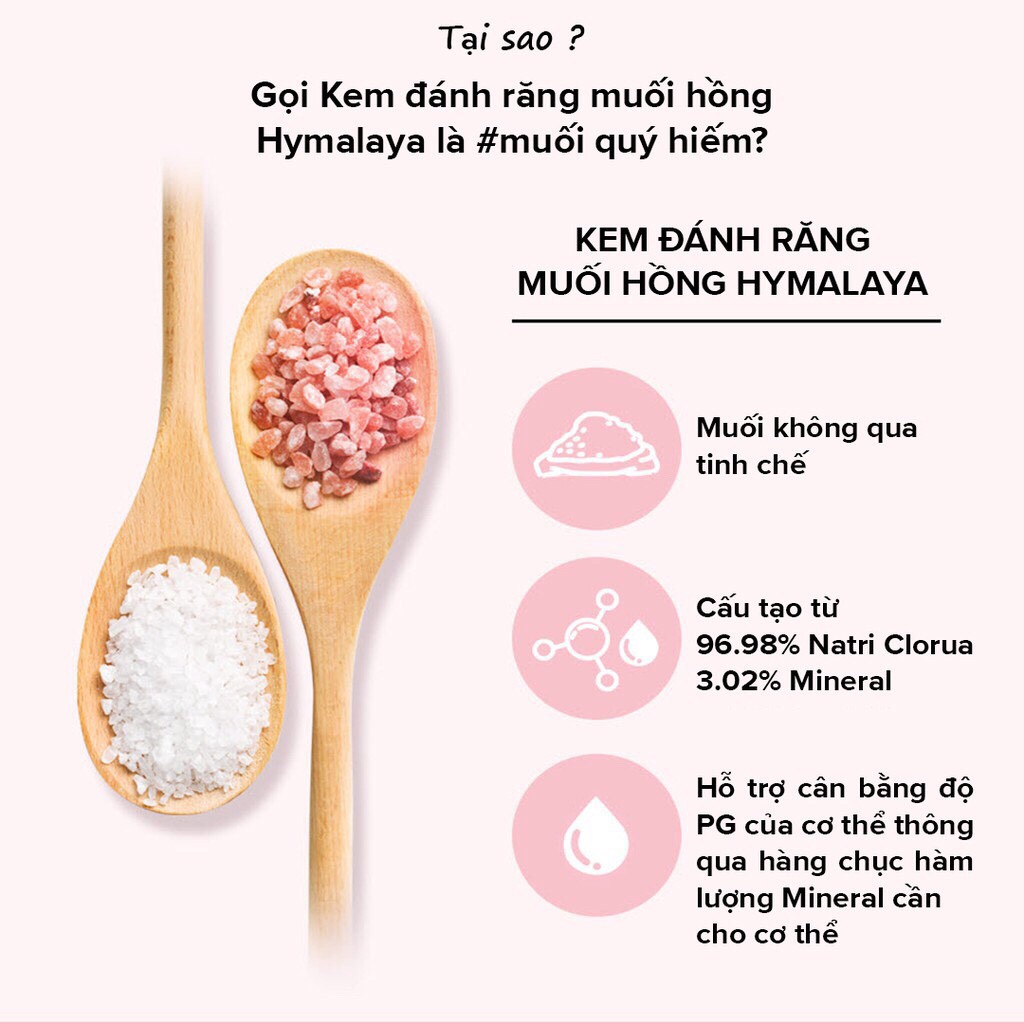 Combo 2 Kem đánh răng Bamboo Salt Himalaya Pink Salt Floral Mint (Set hộp quà) - Hương Hoa Bạc Hà (285gx2)