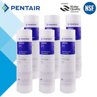 Lõi lọc thô Pentair P1