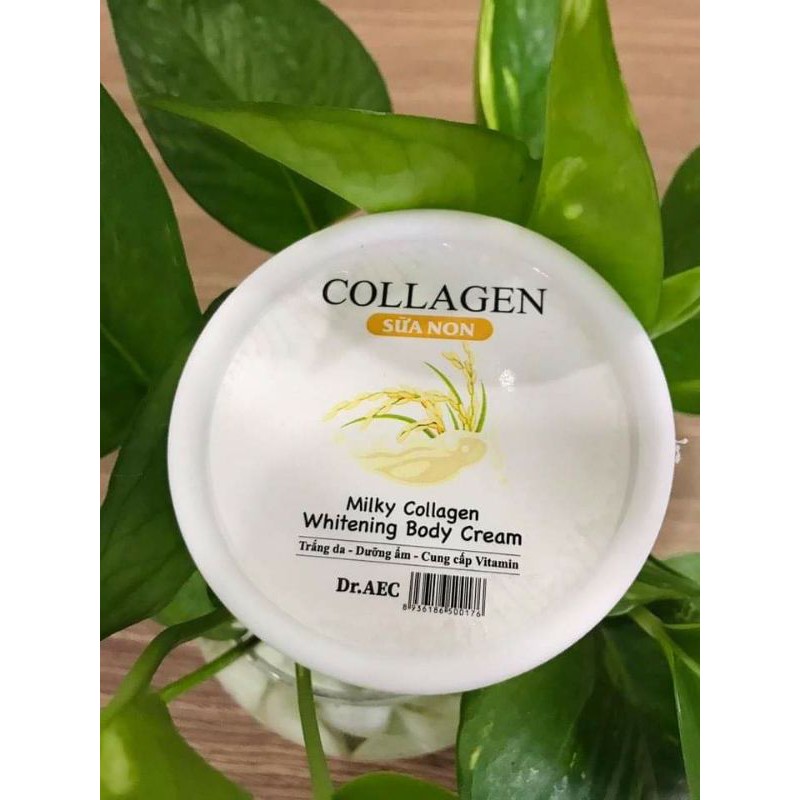 Kem dưỡng collagen sữa non làm trắng da, dưỡng ẩm và cung cấp vitamin