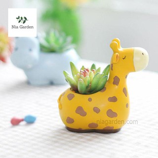 Chậu hươu cao cổ trồng cây cảnh, sen đá, chậu hình thú - CTK