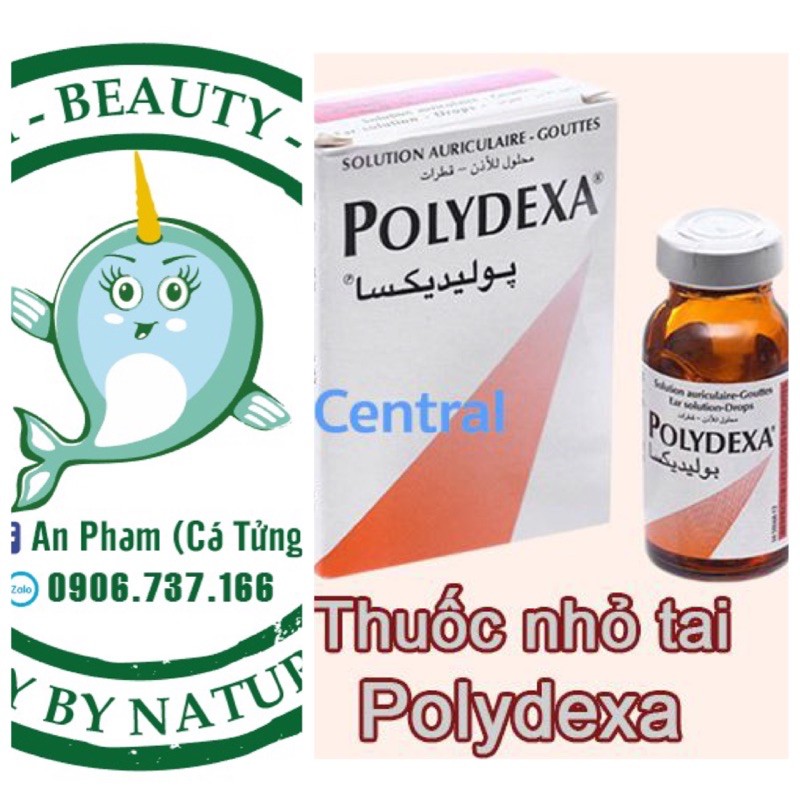 Nhỏ tai Polydexa