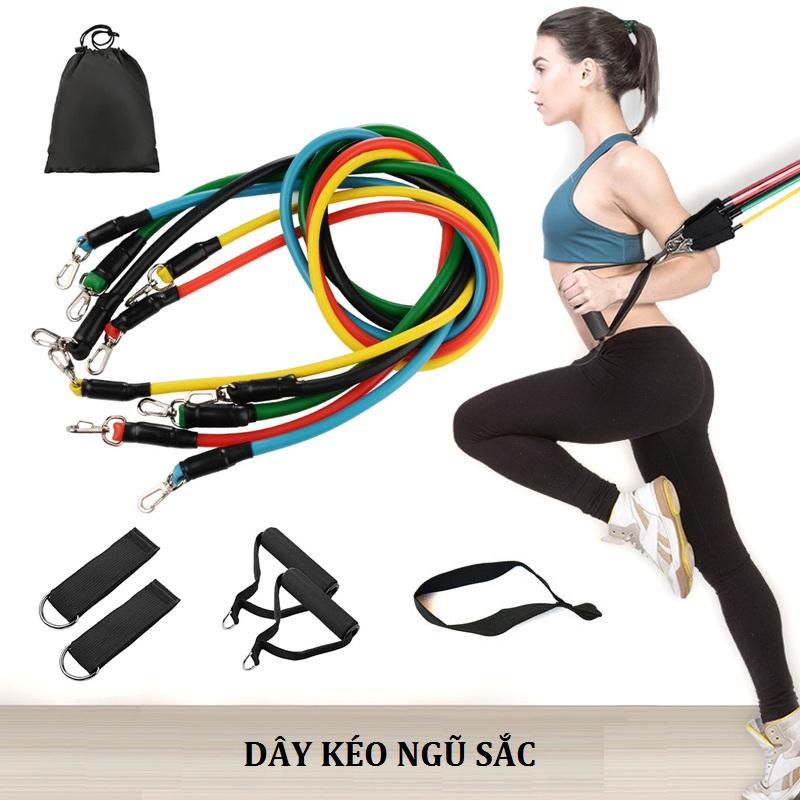 Bộ 5 Dây Kéo Tập Ngũ Sắc Tập GYM - Bộ Dây Đàn Hồi Kháng Lực Tập Thể Hình (Full BOX Phụ Kiện)