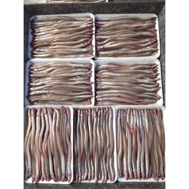 cá sụn sịn/cá sùn sịn 500gr DTFoods(CHUYÊN SỈ)
