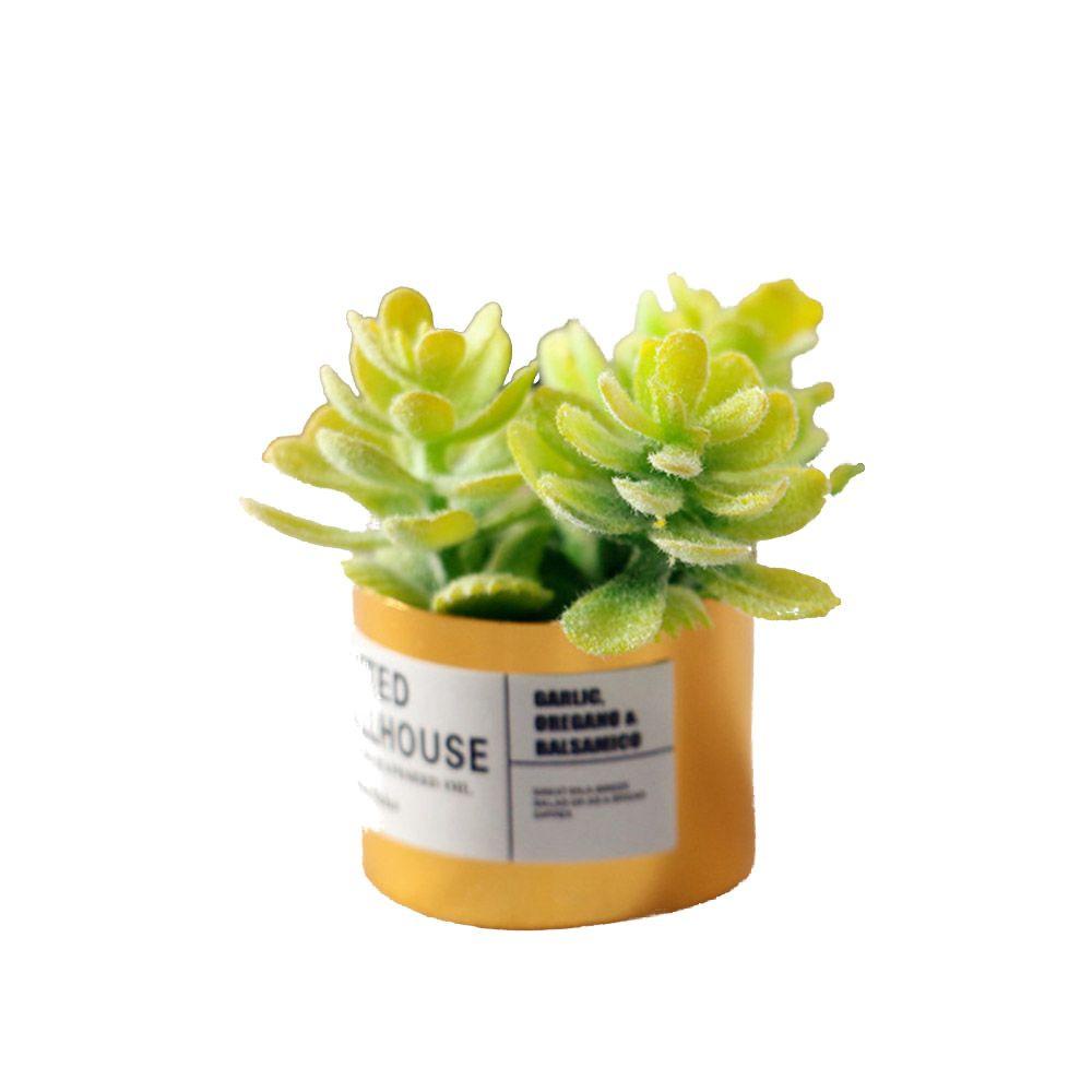 SUSANS Set 4 Mô Hình Chậu Cây Mini Trang Trí Tiểu Cảnh