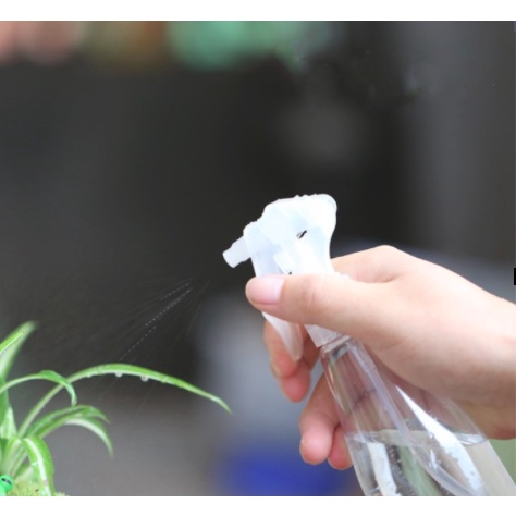 Bình xịt 500ml màu đen - dùng xịt nước tưới cây tiện dụng - Trang Flowers