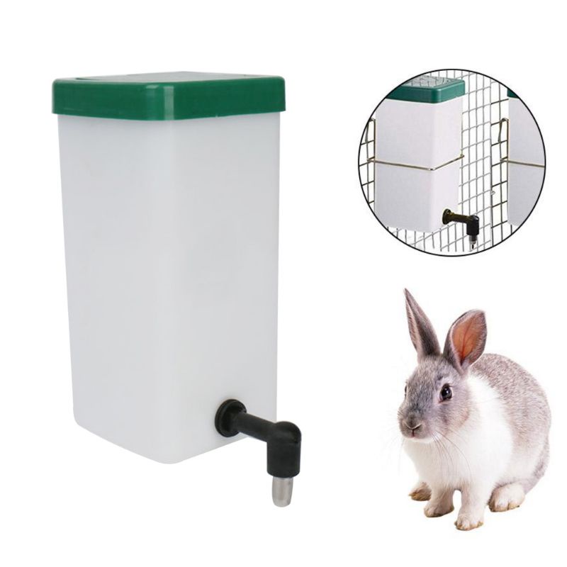 Bình đựng nước uống tự động dành cho thú cưng