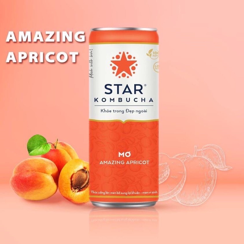 Trà Star Kombucha Bổ Sung Lợi Khuẩn Men vinh sinh - Vi Mơ