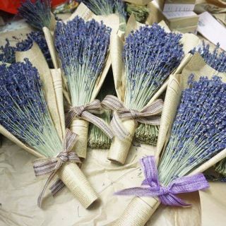 Hoa khô lavender