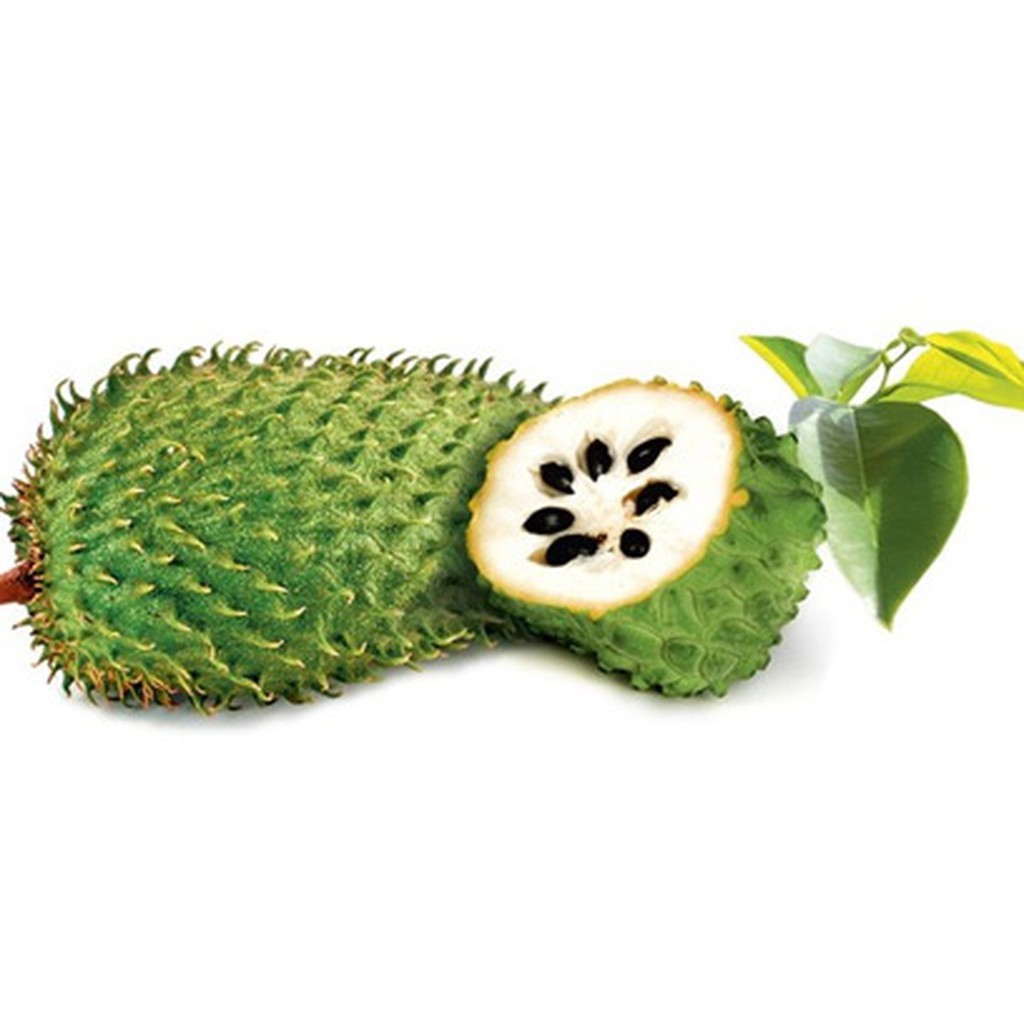 Hạt giống mãng cầu gai thuần cao sản
