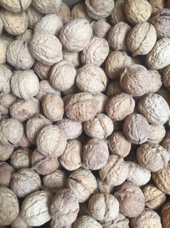 Óc chó khô cobom 2kg ( tặng kìm mở )