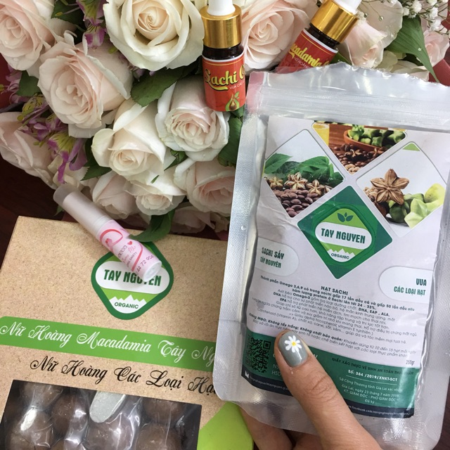Hạt macca tây nguyên (tươi để nấu sữa hạt)