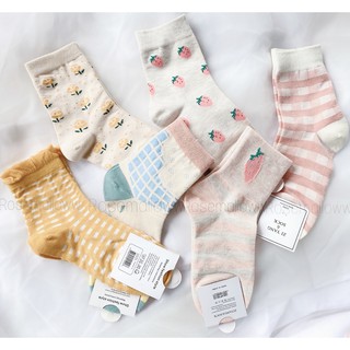 Set 6 đôi tất ullzang cao cổ
