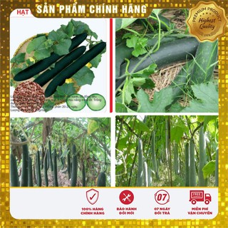 Hạt giống Bí Sặt 2gram