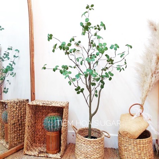 Cây thạch nam( cây lạc tiên) giả CAO CẤP phong cách tối giản