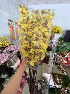 Cành Hoa Anh Đào
