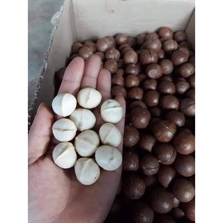 Hạt Maca Đắc Lắc