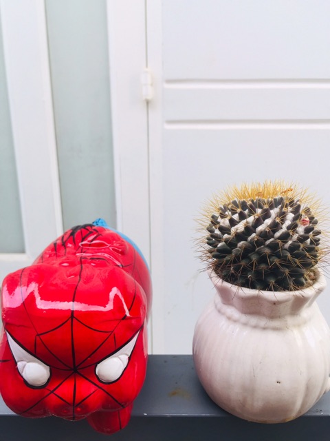 Heo đất Spider man Người Nhện size XL