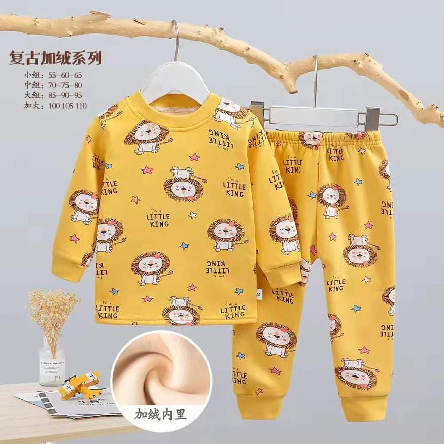 Bộ nỉ lót lông xuất hàn cho bé trai