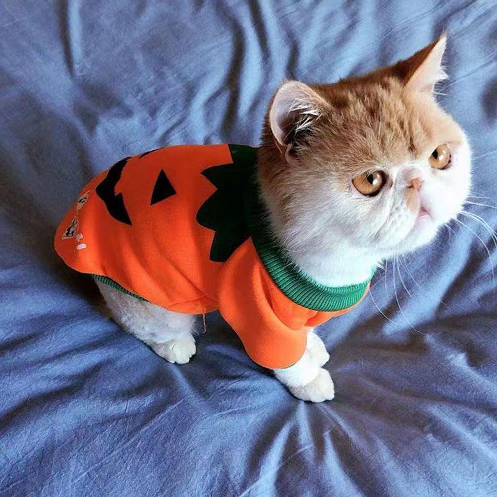 AUGUSTINA Áo Khoác Thời Trang Xuân Thu Dễ Thương Cho Thú Cưng