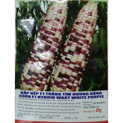 HẠT BẮP NẾP F1 TRẮNG TÍM - GÓI 20 GRAM