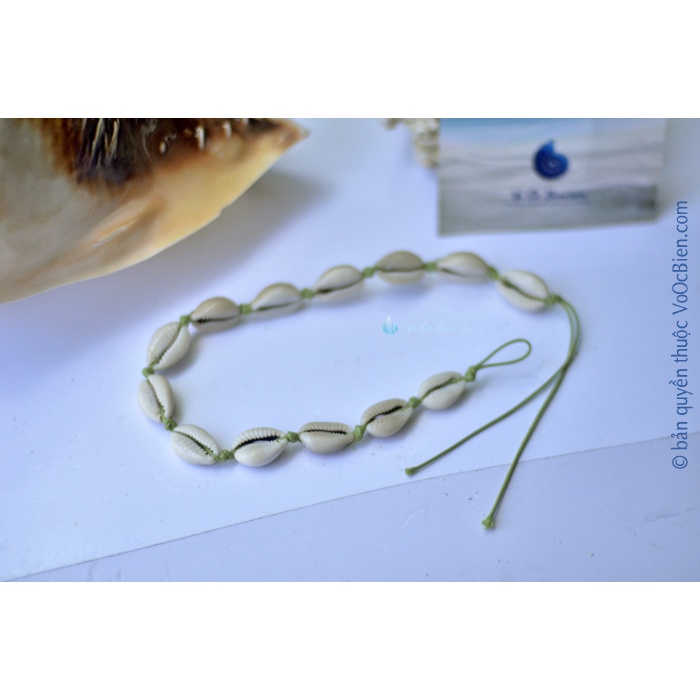 Dây Chuyền chuỗi "Ốc Sứ Đồng Tiền" vỏ ốc biển tự nhiên