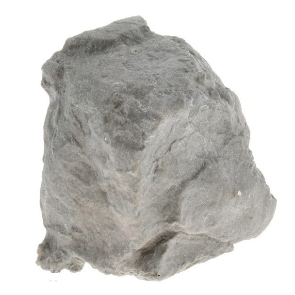 Hang động cho bò sát