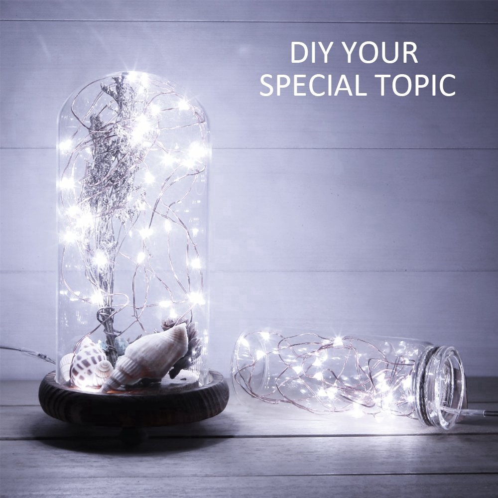 Dây đèn điều khiển từ xa 8 chế độ 33ft 100LEDs bằng đồng tuyệt đẹp kèm phụ kiện trang trí