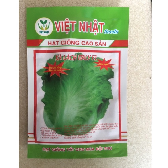 Xà lách ITALY F1