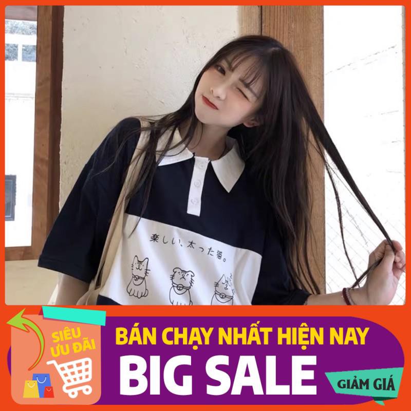 Áo polo 3 con mèo from rộng