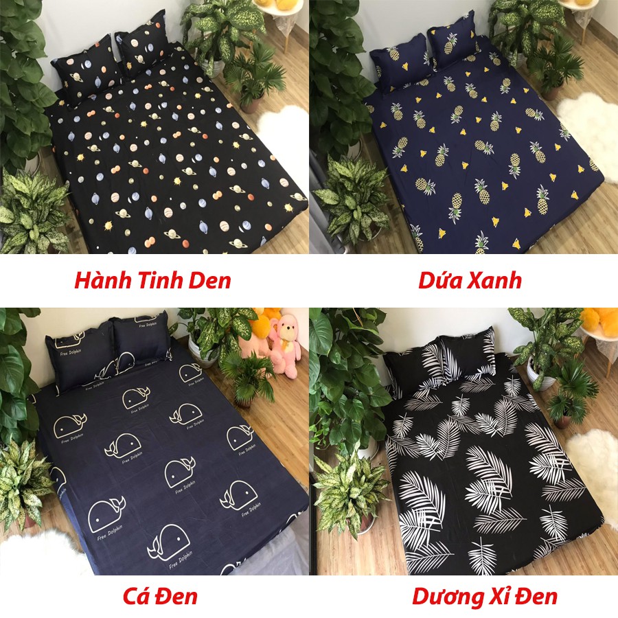 Bộ Ga gối Cotton Poly Các Mẫu Hót Nhất 2019