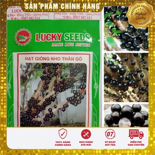 COMBO 2 GÓI HẠT GIỐNG NHO THÂN GỖ ĐỨC CHÍNH HÃNG LUCKY TẶNG 10 VIÊN NÉN ƯƠM HẠT