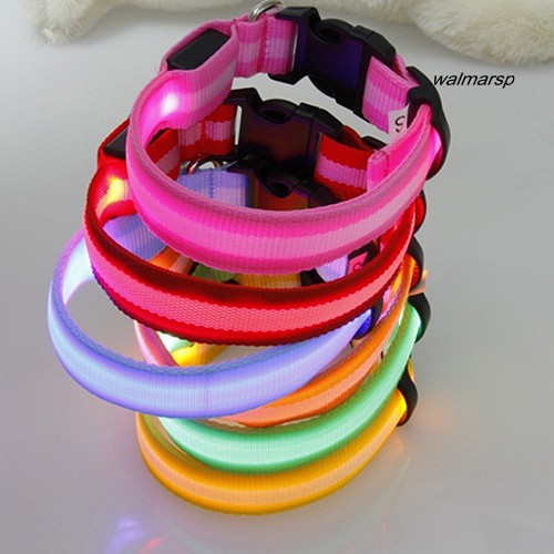 Vòng cổ đính đèn LED có thể điều chỉnh cho thú cưng